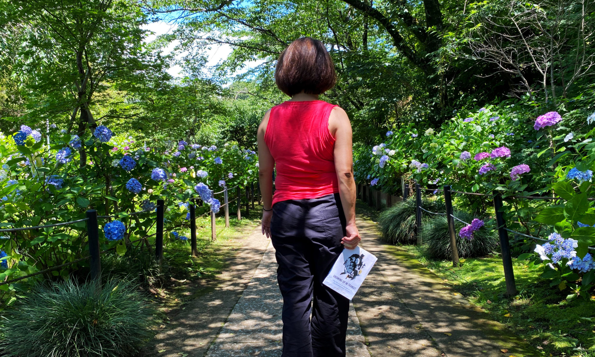 Woman in red sleeveless top and black cargo pants walking in a temple garden full of hydrangeas on either side holding a copy of Growing Up in Transit in her right hand.